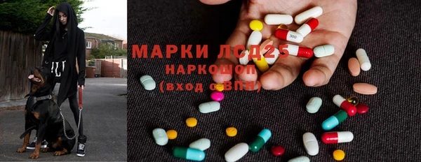 МДПВ Долгопрудный