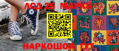 гидра Будённовск