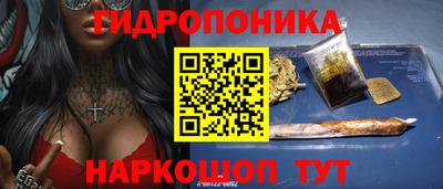 гидра Будённовск