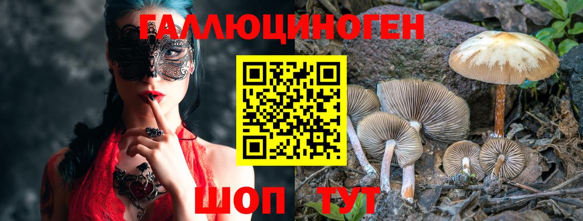 Галлюциногенные грибы прущие грибы Пятигорск